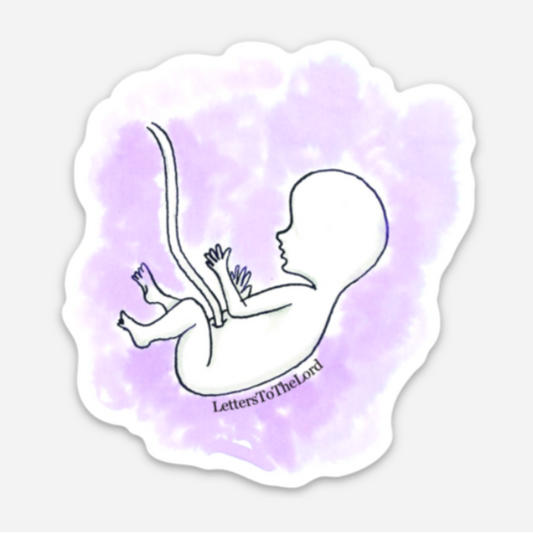 Safe and Sound Sticker - Unborn, Pro-Life